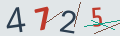 verifycode